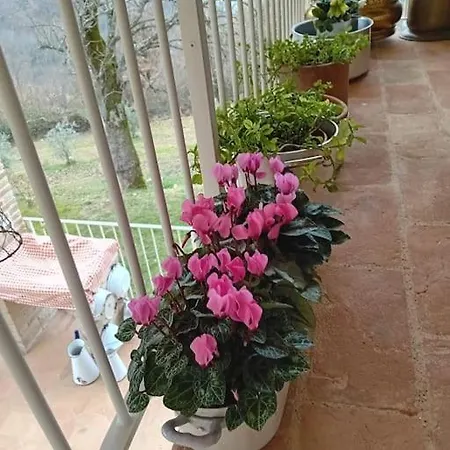 Apartment Ai Due Gelsi Val Liona Vicenza Grancona