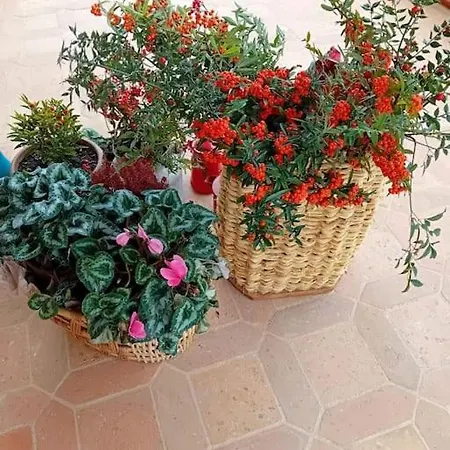 Ai Due Gelsi Val Liona Vicenza Apartment *
