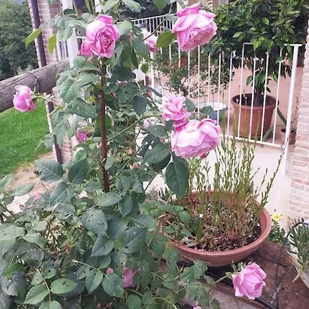 Ai Due Gelsi Val Liona Vicenza * Grancona