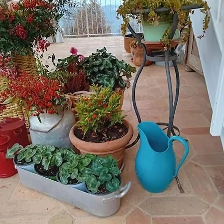 Apartment Ai Due Gelsi Val Liona Vicenza