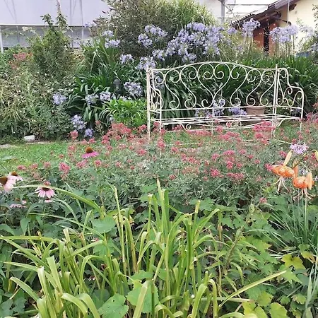 Apartment Ai Due Gelsi Val Liona Vicenza Grancona