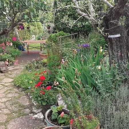 Ai Due Gelsi Val Liona Vicenza Apartment Grancona