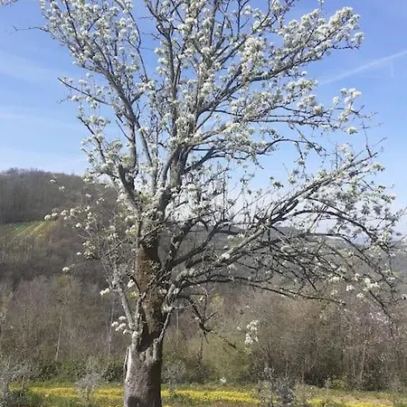 Ai Due Gelsi Val Liona Vicenza Grancona